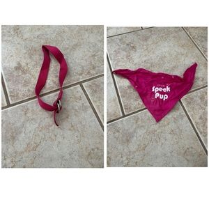 Dog Leash And Bandana Bundle